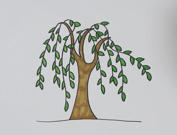 柳树怎么画简笔画画法图片